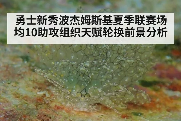 勇士新秀波杰姆斯基夏季联赛场均10助攻组织天赋轮换前景分析